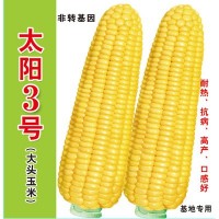 批發(fā)菜園蔬菜種子 泰系超甜玉米種子 太陽3號(hào)400克裝蔬菜基地菜籽