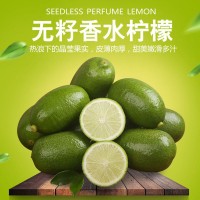 海南無籽香水檸檬一級(jí)臺(tái)灣檸檬現(xiàn)摘薄皮奶茶店香檸青檸檬
