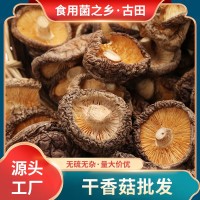 古田特產干香菇500g食用菌菇散裝剪腳無根肉厚干蘑菇片現貨批發(fā)  10件起批