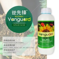 全水溶葉面肥亞磷酸鉀 高磷高鉀水溶肥 膨果?；ū９厣铱赝柿? onmouseover=